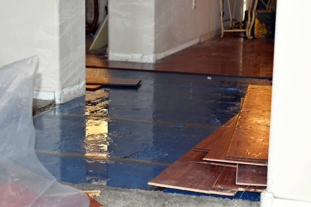 Professional Burst Pipe Cleanup technician working in Davenport, ND