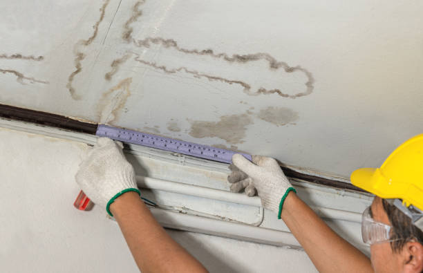 Reliable Burst Pipe Cleanup contractor in Davenport, ND by Water Damage Irwin